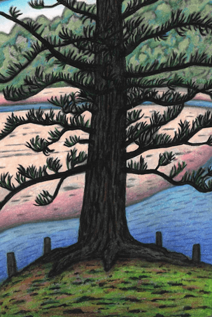 Norfolk Pine at Moonee Beach limited edition fine art print Reg Mombassa Store 